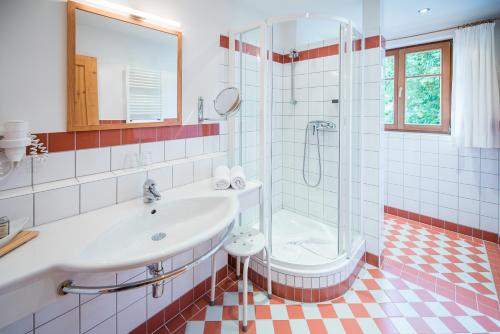 a bathroom with a sink and a shower and a toilet at Alte Post in Feistritz an der Gail