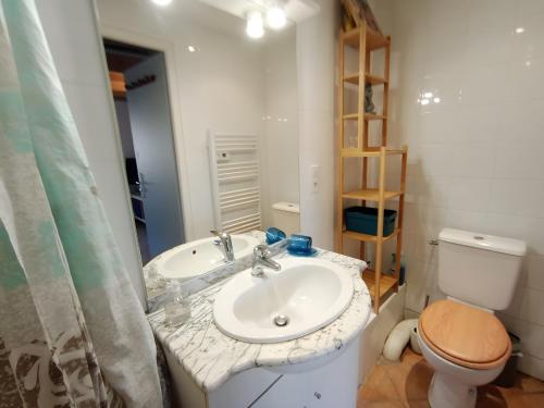 een badkamer met een wastafel, een toilet en een spiegel bij Charmante Maison De Village 60 M² in Mollans-sur-Ouvèze