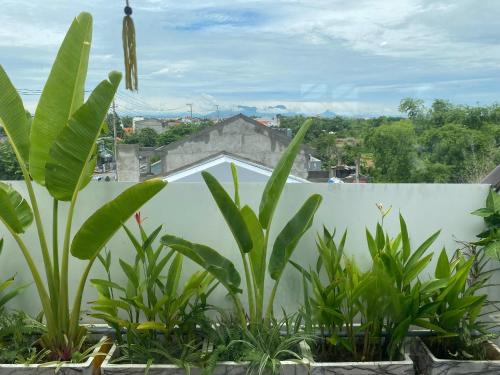 Una vista desde el techo de una casa con plantas. en Anchie Retreat Villa Hội An, en An Bàn (2)