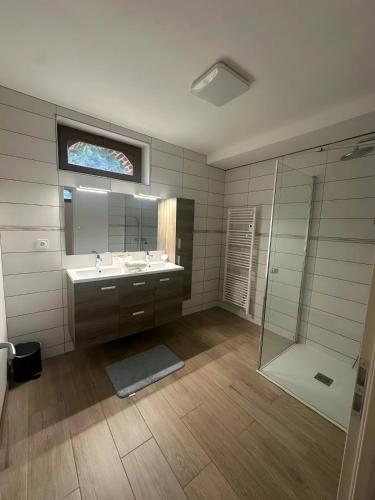a bathroom with a sink and a shower and a mirror at havre de paix a la Sologne in Veilleins