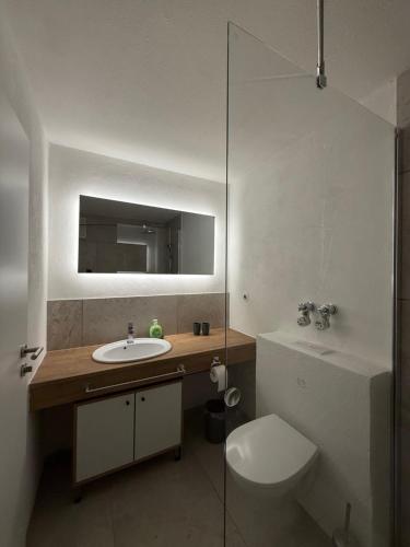 Et badeværelse på AlpinLounge Scheidegg - Studio mit Wellness und Bergblick