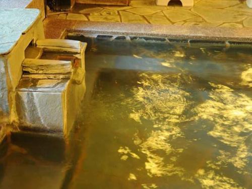a pool of water in a yard with a pool of water at Atami Hotel Paipuno Kemuri in Atami