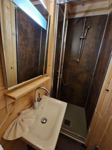 a bathroom with a sink and a shower at Chalet Marmotte am Nassfeld in Hermagor