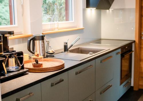 eine Küche mit Spüle und Arbeitsplatte in der Unterkunft janzweitnah in Gerolstein