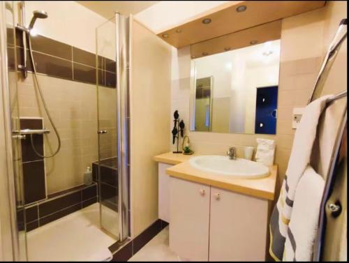 ein Badezimmer mit Waschbecken und Dusche in der Unterkunft Le Duplex du Marche-centre-parking prive-balcon in Châteauroux
