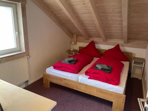a bed with red pillows in a room at Traumhaus am See in Rieden