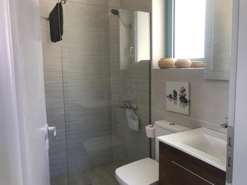 un bagno con doccia, WC e lavandino di villa Elaionas a Tsivarás