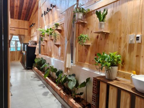 a bathroom with a bunch of potted plants on the wall at MOre home 2 - ngôi nhà nghĩ dưỡng tại Đà Lạt in Da Lat