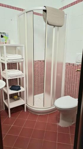 a bathroom with a shower and a toilet at Le Tre Civette in Alfedena