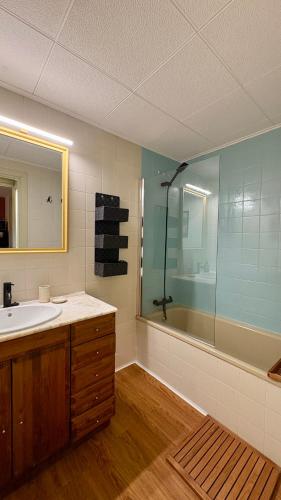 a bathroom with a sink and a shower and a tub at Flor de Hielo in Candanchú