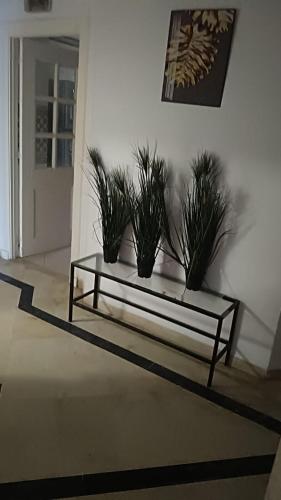 حي النصر شارع الهادي نويرة أريانة