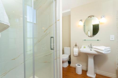 een badkamer met een douche en een wastafel bij Château de Luzières in Conty