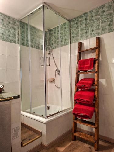 a bathroom with a shower and a ladder with red towels at Casa del Borgo in Bellano