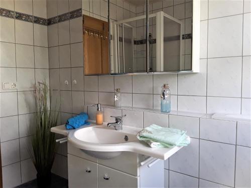 een badkamer met een wastafel en een spiegel bij Ferienwohnung Frischkorn in Steinau an der Straße