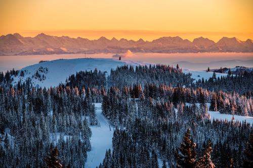 Příroda nedaleko apartmánu