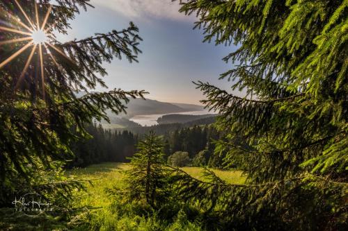 Příroda nedaleko apartmánu