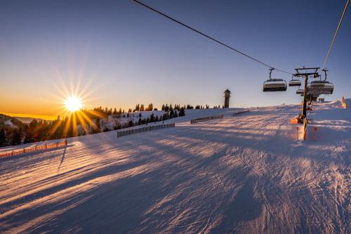 Ferienhaus Dresselbach - Wohnung 05 "Dresselbachblick" in Schluchsee für 6 Personen v zimě