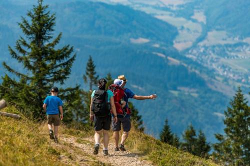 Příroda nedaleko apartmánu