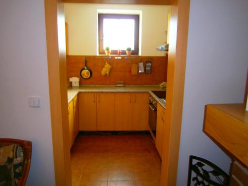een keuken met een wastafel en een raam erin bij Penzion Andrea in Velké Bílovice