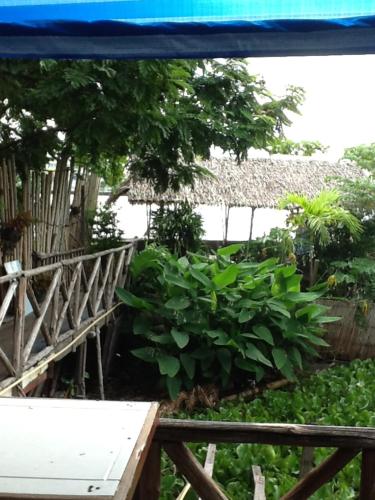 Κήπος έξω από το New Phiman Riverview Guesthouse