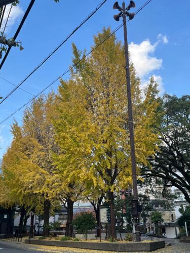 Galeriebild der Unterkunft Sea Bloom Hotel in Dejimamachi