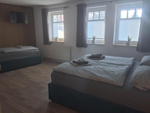 a bedroom with a bed and windows in a room at Hotel & Restaurant Hasa in Gernrode - Harz