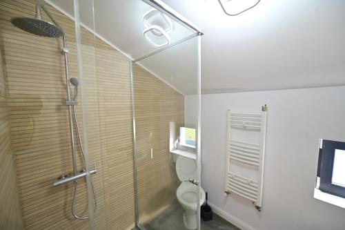 un bagno con wc e doccia in vetro di FLH - Vila Dominik a Sibiu