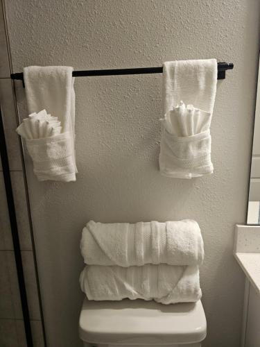 un bagno con asciugamani appesi su un supporto sopra un water di LaVilla, Downtown Jacksonville, FL a Jacksonville