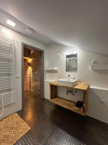 een badkamer met een wastafel en een spiegel bij Resort Papírna50 in Lauterwasser