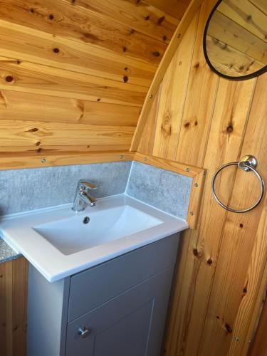 a bathroom with a white sink in a wooden wall at Mill House Farm Pods- Jackdaws Den in Pilling