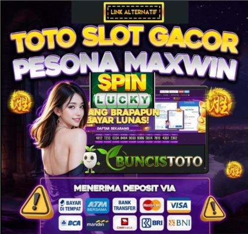 Certificado, premio, señal o documento que está expuesto en Buncistoto room semi apartment