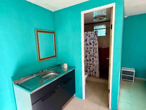 ein blaues Badezimmer mit Waschbecken und Spiegel in der Unterkunft La casa Amelia Nueva Gorgona in Nueva Gorgona