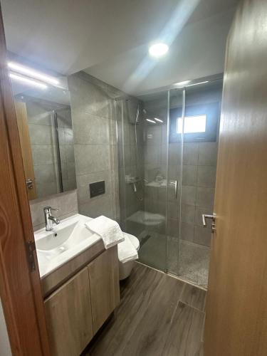a bathroom with a shower and a sink and a toilet at Recanto da Boucinha - T2 in Veade