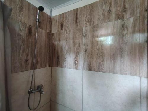 圣格雷戈里奥德波兰科La Costa Homes的带淋浴的浴室(带木墙)