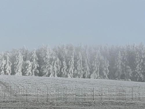 Una valla en un campo con árboles cubiertos de nieve. en Hotel & Restaurant Adolfovský Dvůr, en Adolfov
