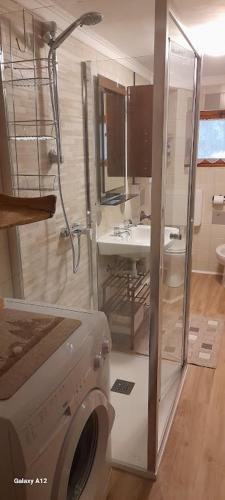 a bathroom with a washing machine and a sink at Baita salzkabe in Macugnaga