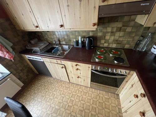 Køkken eller tekøkken på vitalpha lodge - house