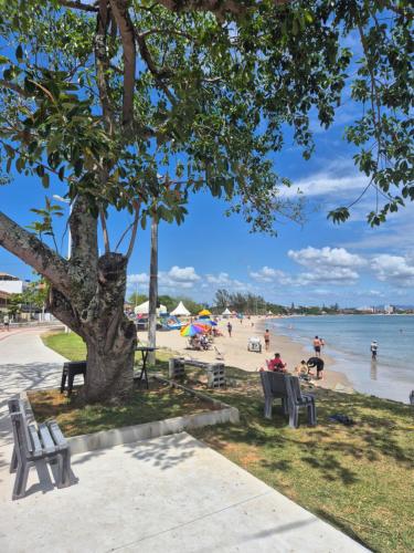 a beach with a tree and people on the beach at WaveBox Suítes Container - Enseada in São Francisco do Sul