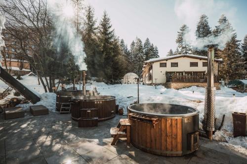 Breza Hotel Borovets v zimě