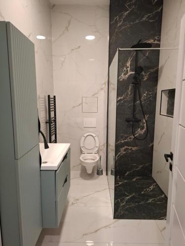 een badkamer met een douche, een toilet en een wastafel bij Apartmán Central Point 1 in Humenné
