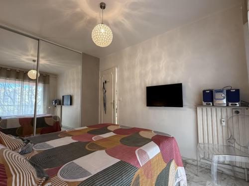 Central Studio in Cannes Near The Martinez - 2351