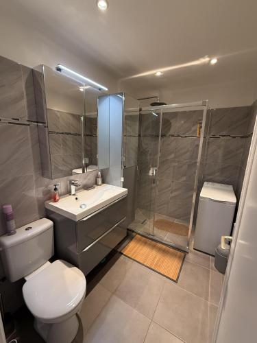 Central Studio in Cannes Near The Martinez - 2351