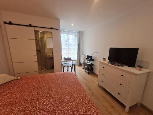 ein Schlafzimmer mit einem Bett und einem Fernseher auf einer Kommode in der Unterkunft O p'tit nid à bulles in Létricourt