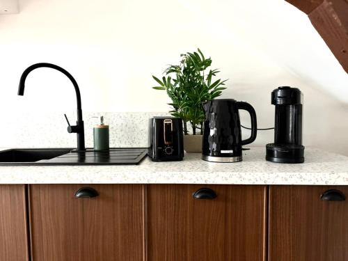 Kuchyň nebo kuchyňský kout v ubytování La Mansarde - Appartement cosy de 2 chambres