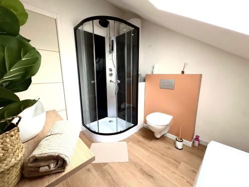 Koupelna v ubytování La Mansarde - Appartement cosy de 2 chambres
