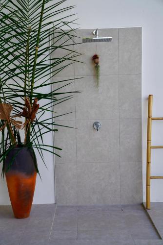 a potted plant in a bathroom with a shower at Villa Mona in Nathon Bay