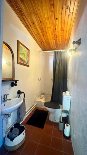 a bathroom with a sink and a toilet and a shower at Domaine du Fourtet in Arfons