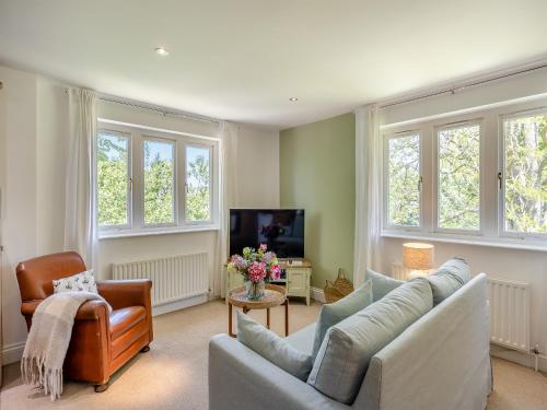 Μια τηλεόραση ή/και κέντρο ψυχαγωγίας στο The Nest