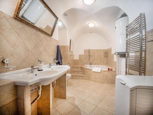 a bathroom with a sink and a bath tub at Nová Hájovna in Říčky