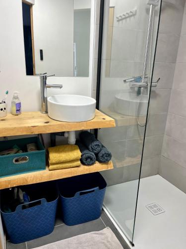 une salle de bain avec lavabo et douche dans l'établissement Blu'in - Mérignies, à Mérignies